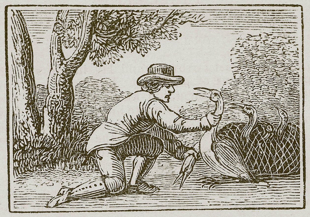 De boer en de ooievaar (gravure) door English School