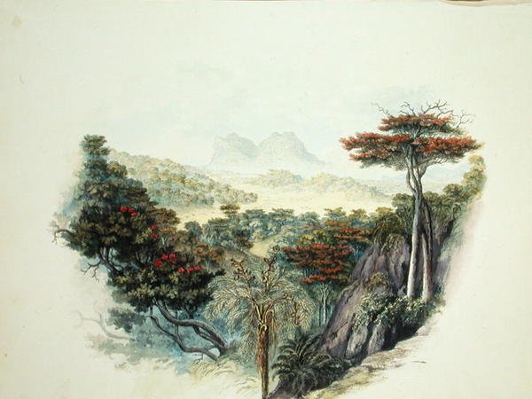 De Bergen, Ceylon door English School