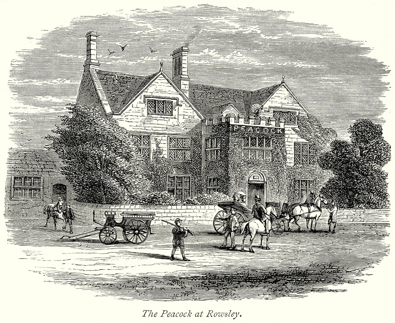 De pauw in Rowsley (gravure) door English School