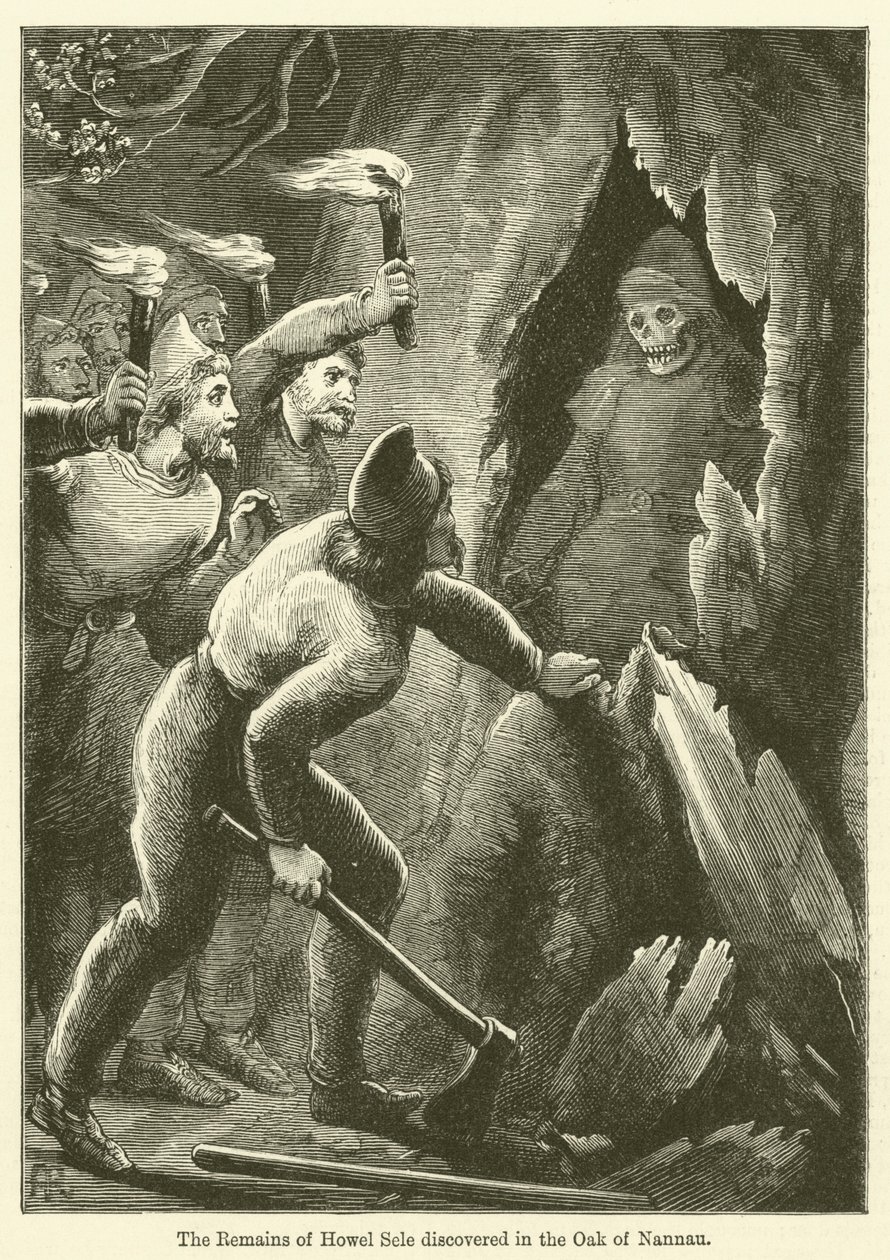 De overblijfselen van Howel Sele ontdekt in de eiken van Nannau (gravure) door English School