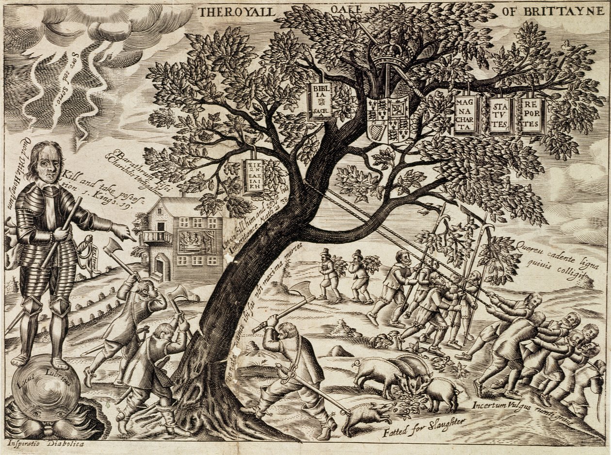 De Koninklijke Eik van Groot-Brittannië, uit 