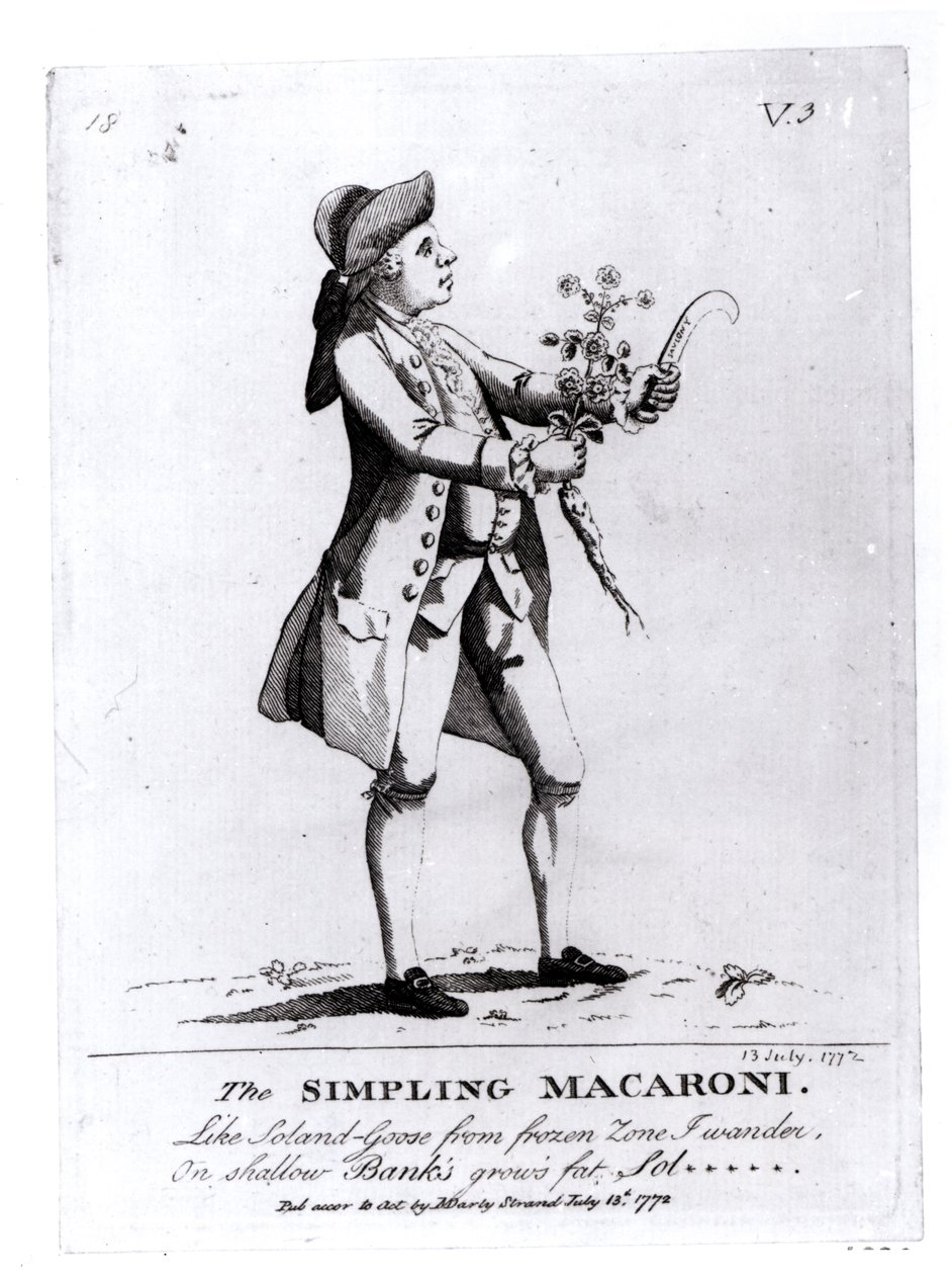 De Simpling Macaroni, uitgegeven door N. Darly, 13 juli 1772 (gravure) door English School