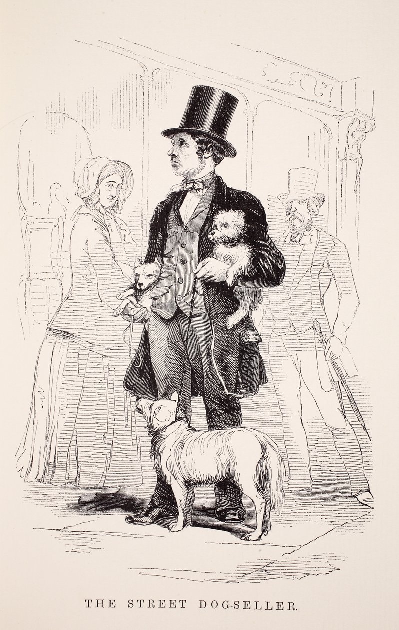 De Straathond-Verkoper, illustratie uit London Labour and London Poor door Henry Mayhew, pub. 1862 door English School