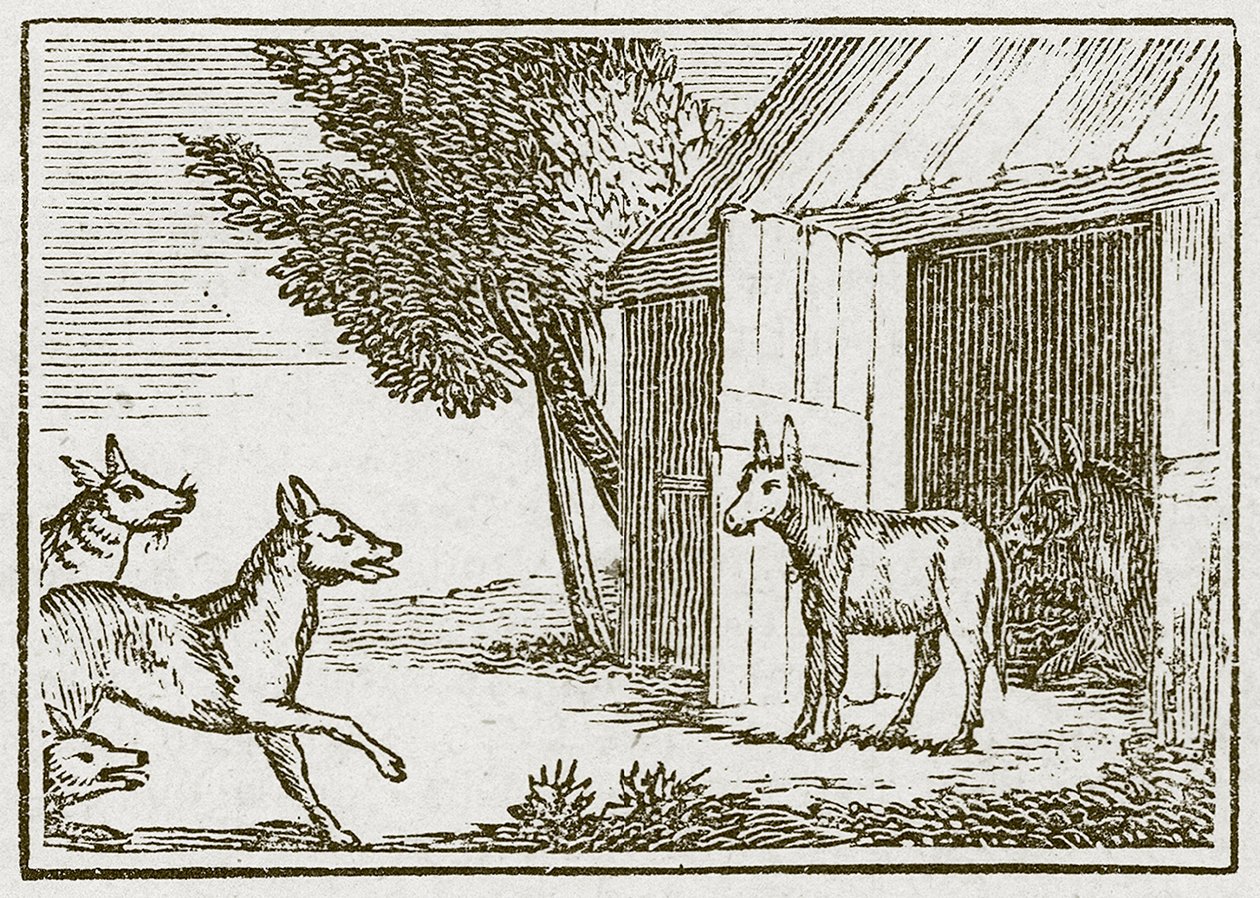De wolven en de zieke ezel (gravure) door English School