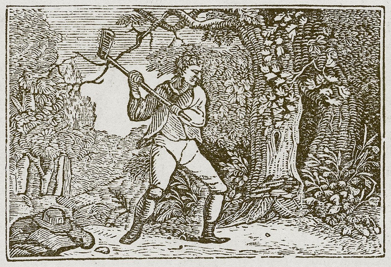 Het bos en de clown (gravure) door English School