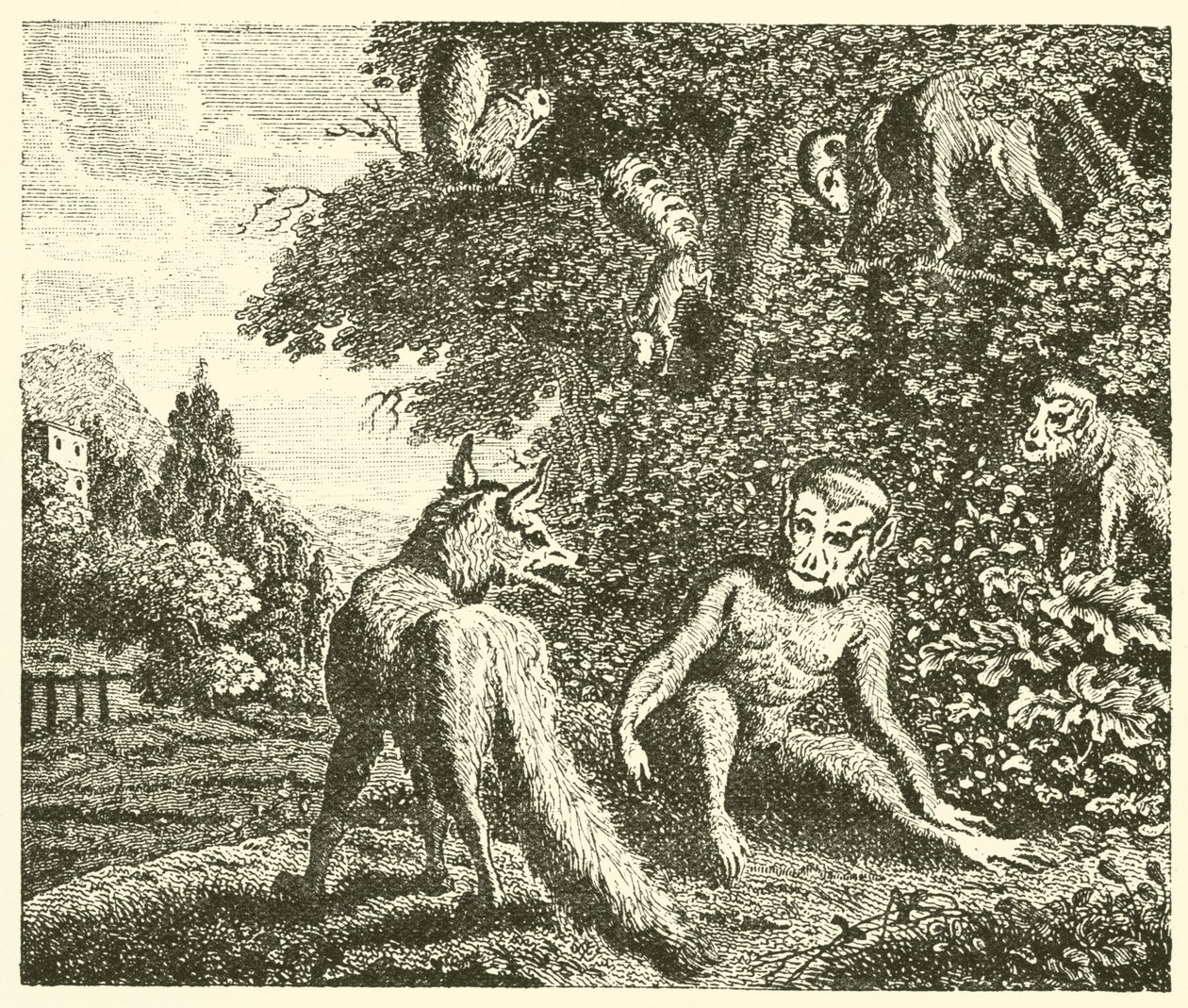De aap en de vos (gravure) door English School