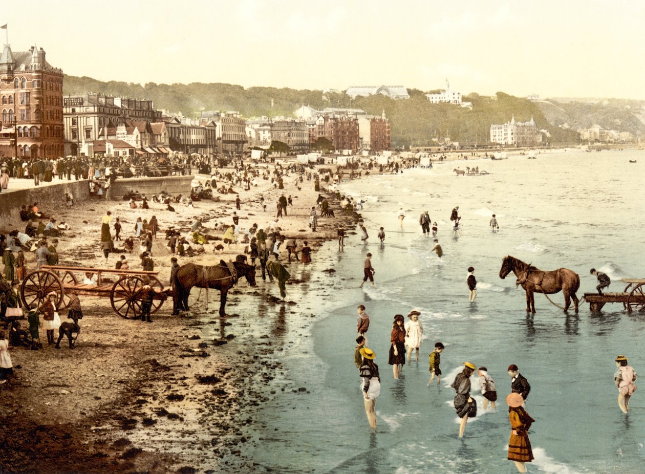 Het strand, Douglas door English School