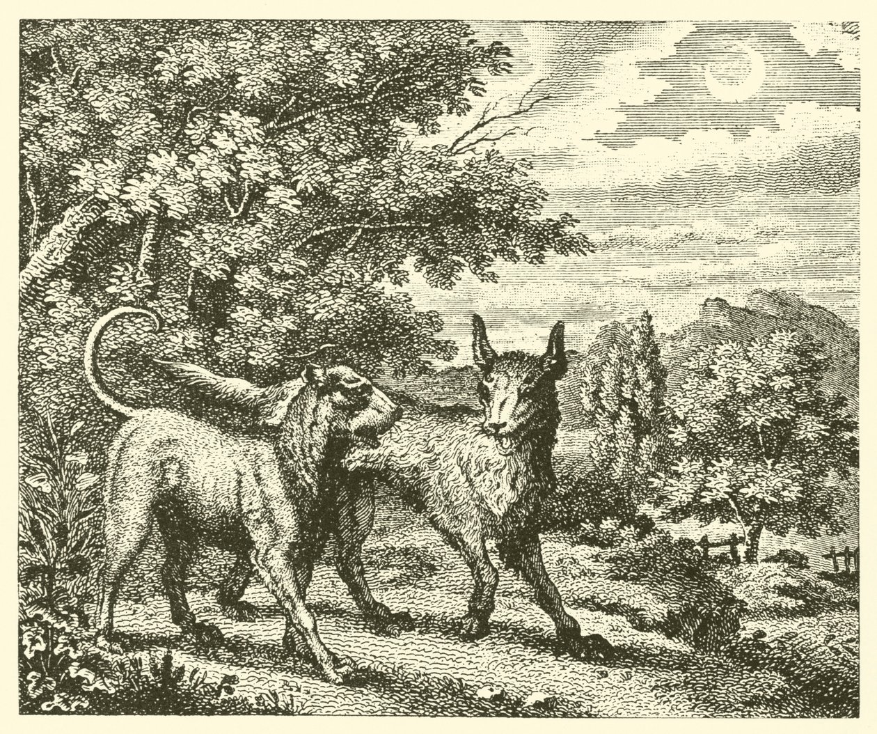 De hond en de wolf (gravure) door English School