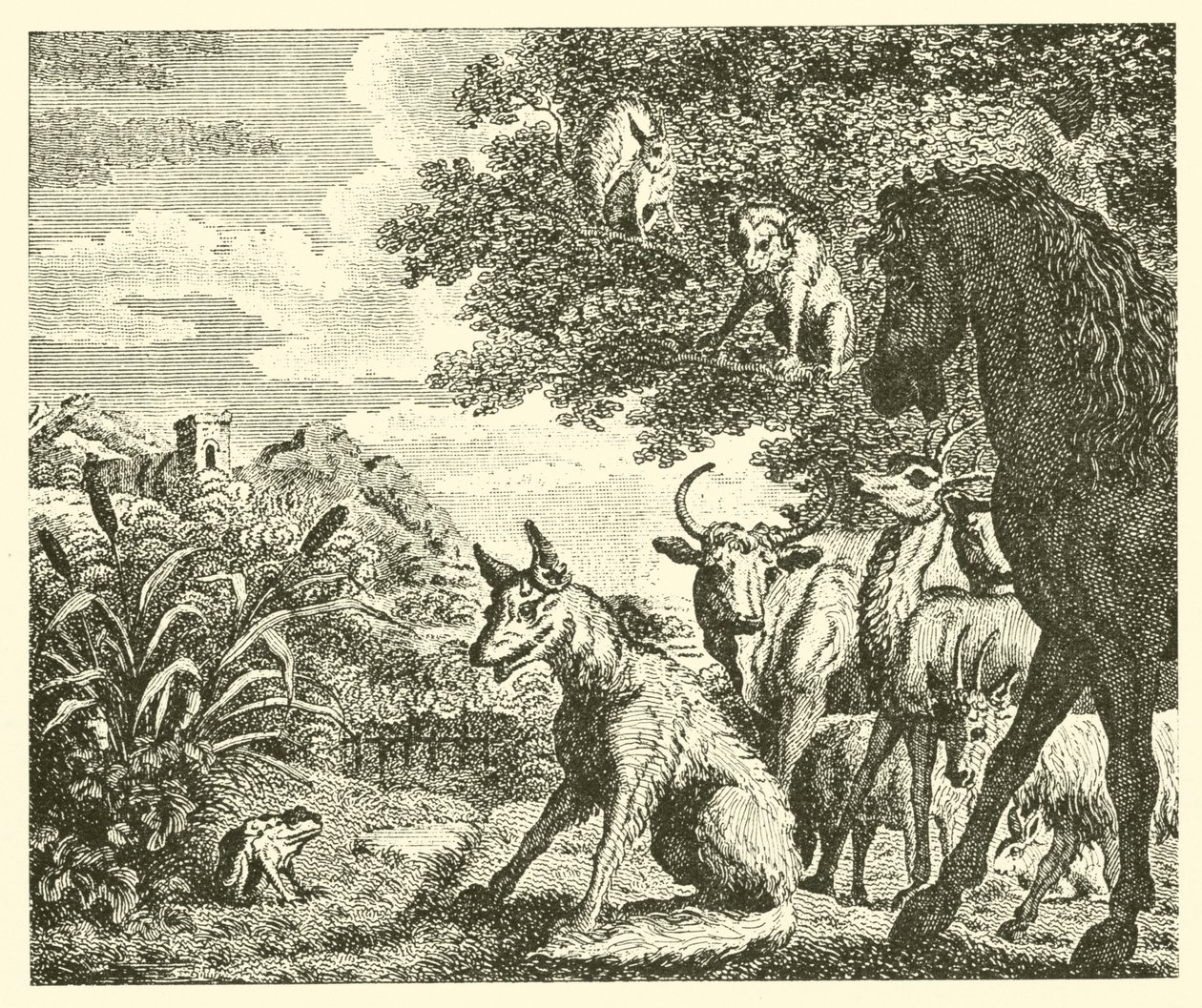 De kikker en de vos (gravure) door English School