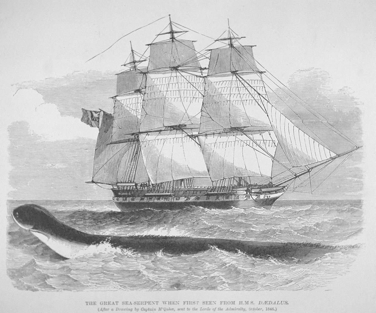 De grote zeeslang toen hij voor het eerst werd gezien vanaf HMS Daedalus in 1848, c.1848 (gravure) door English School