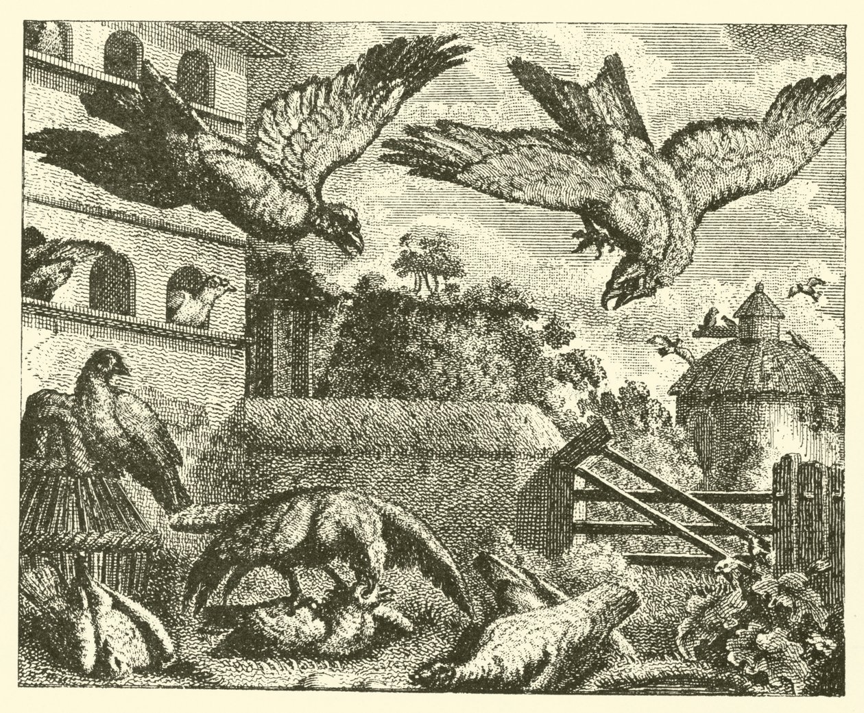 De vlieger en de duiven (gravure) door English School