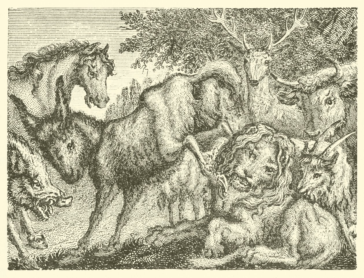 De oude leeuw (gravure) door English School