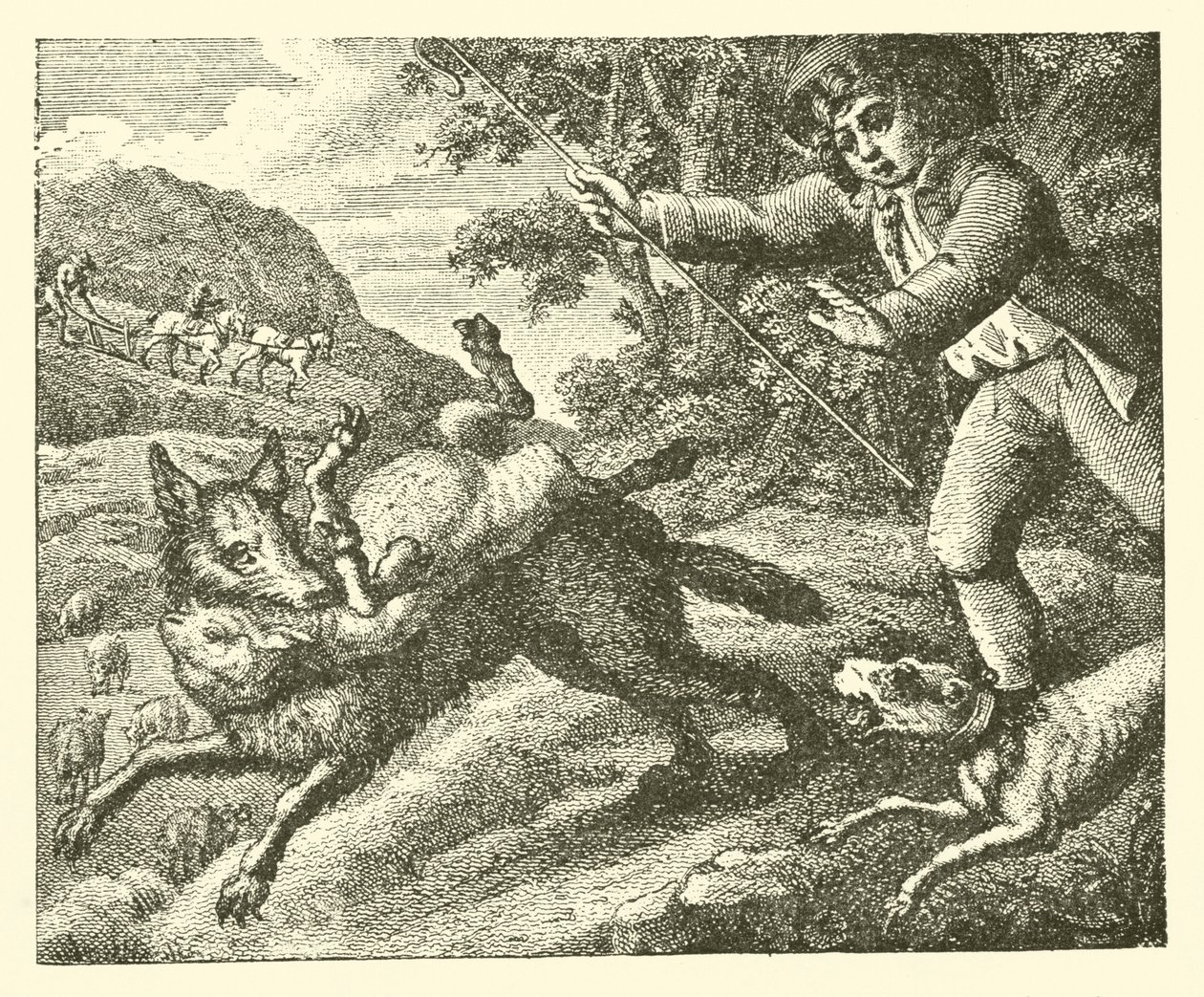 De herdersjongen (gravure) door English School