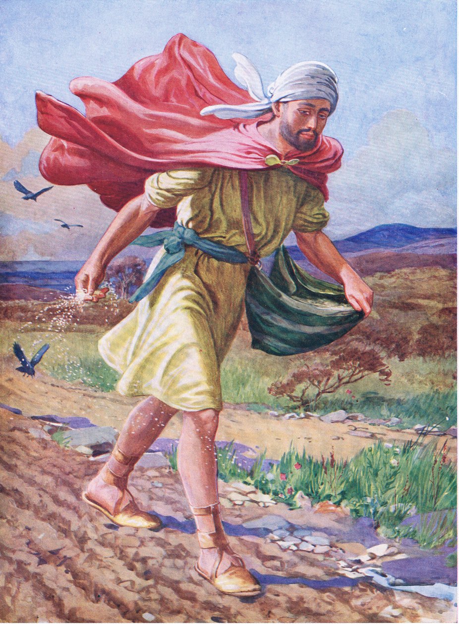 De zaaier, uit Het Bijbel Prentenboek uitgegeven door Thomas Nelson, c.1950 (kleur litho) door English School