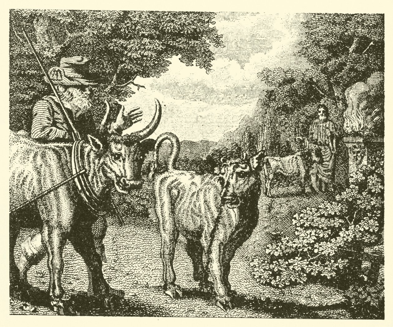 Het baldadige kalf (gravure) door English School