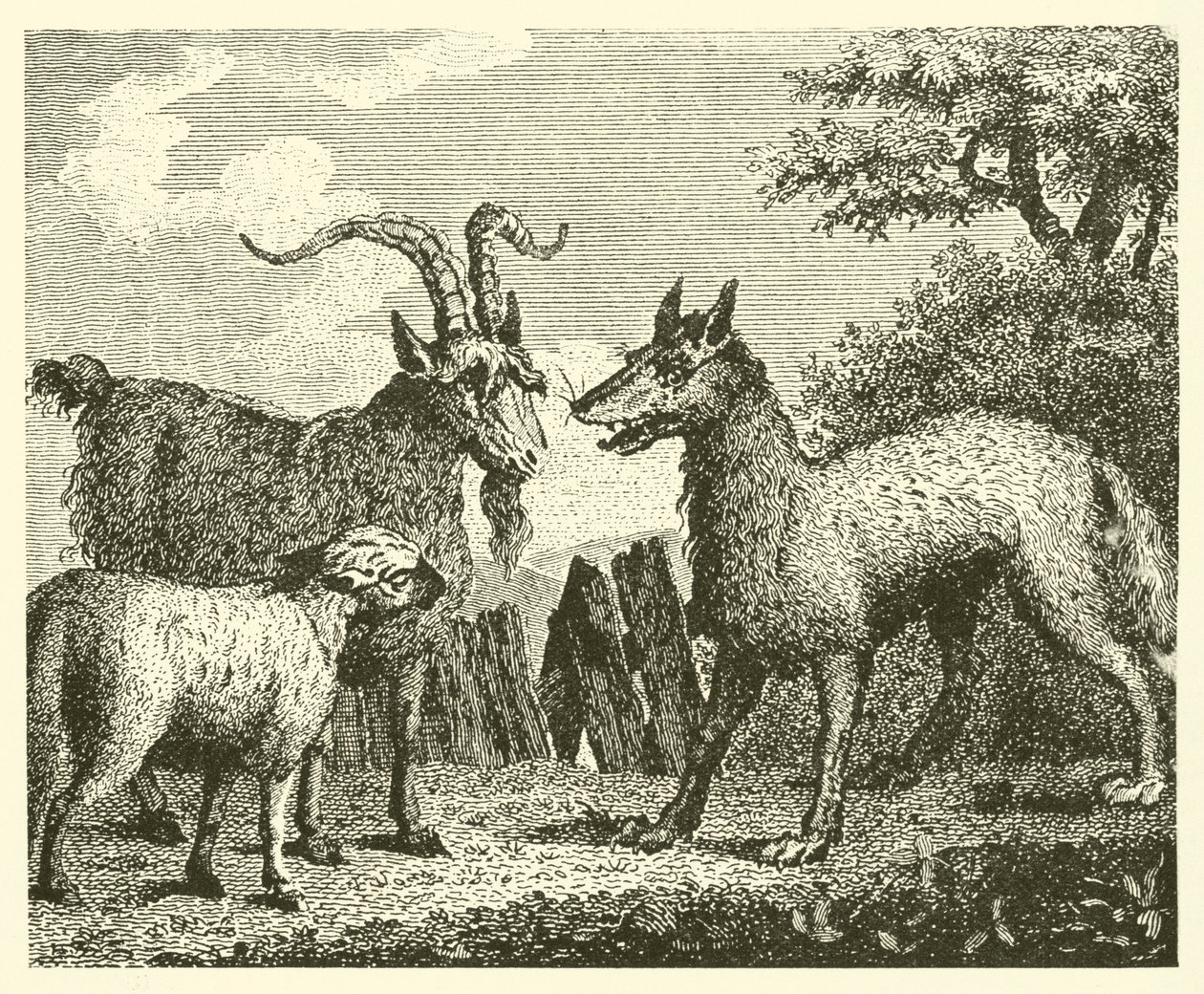 De wolf, het lam en de geit (gravure) door English School