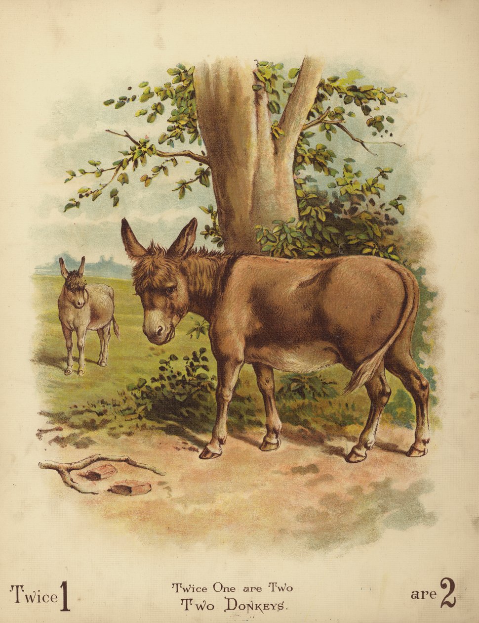 Twee ezels (chromolitho) door English School