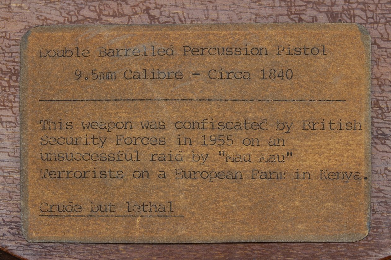 Getypte label voor een dubbelgeweerde percussiepistool (373725) (gedrukt papier) door English School