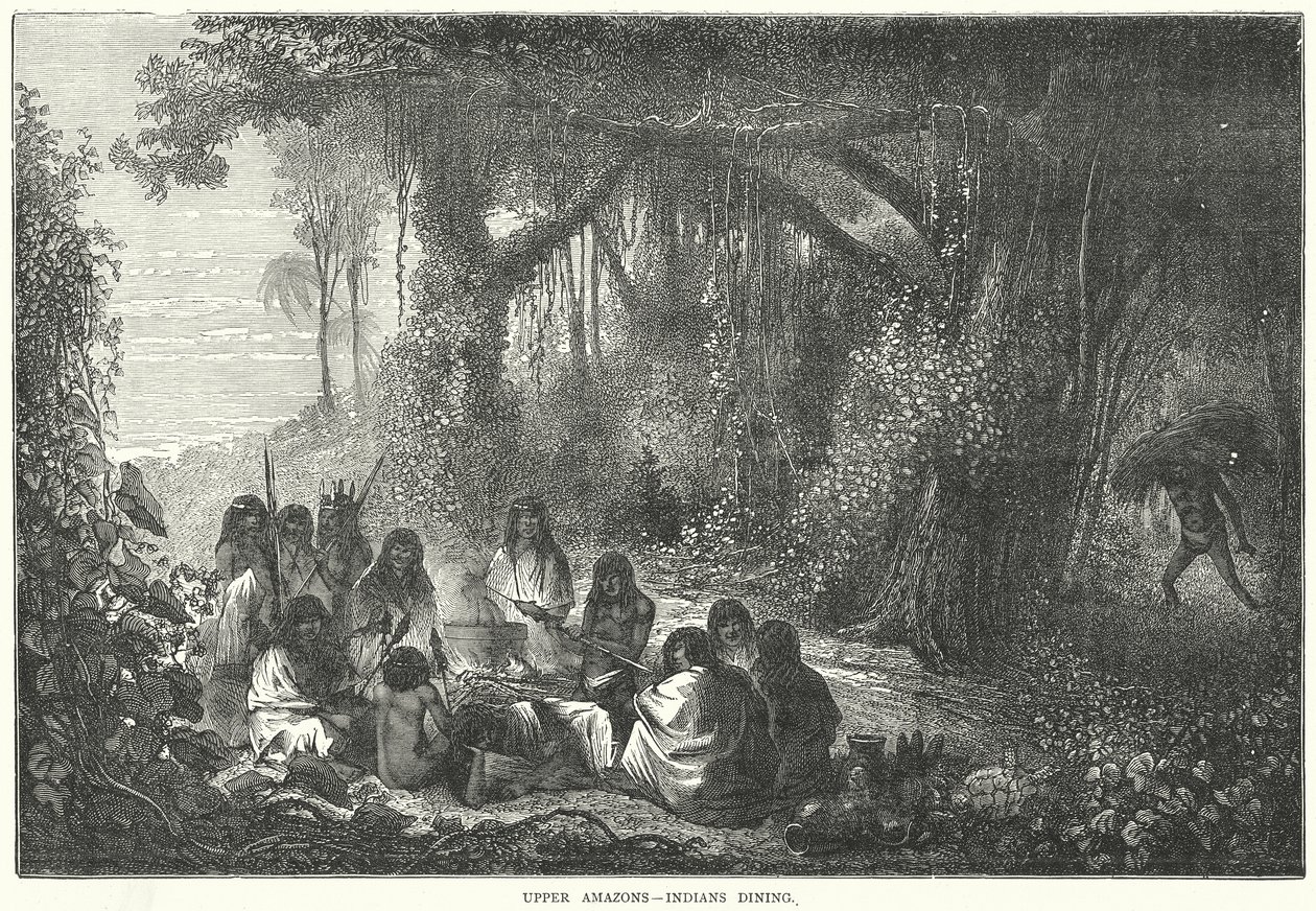Boven Amazones - Dinerende Indianen (gravure) door English School
