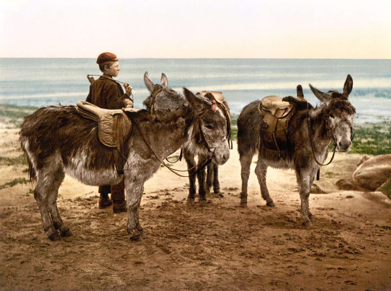 Wachten op een baan door English School