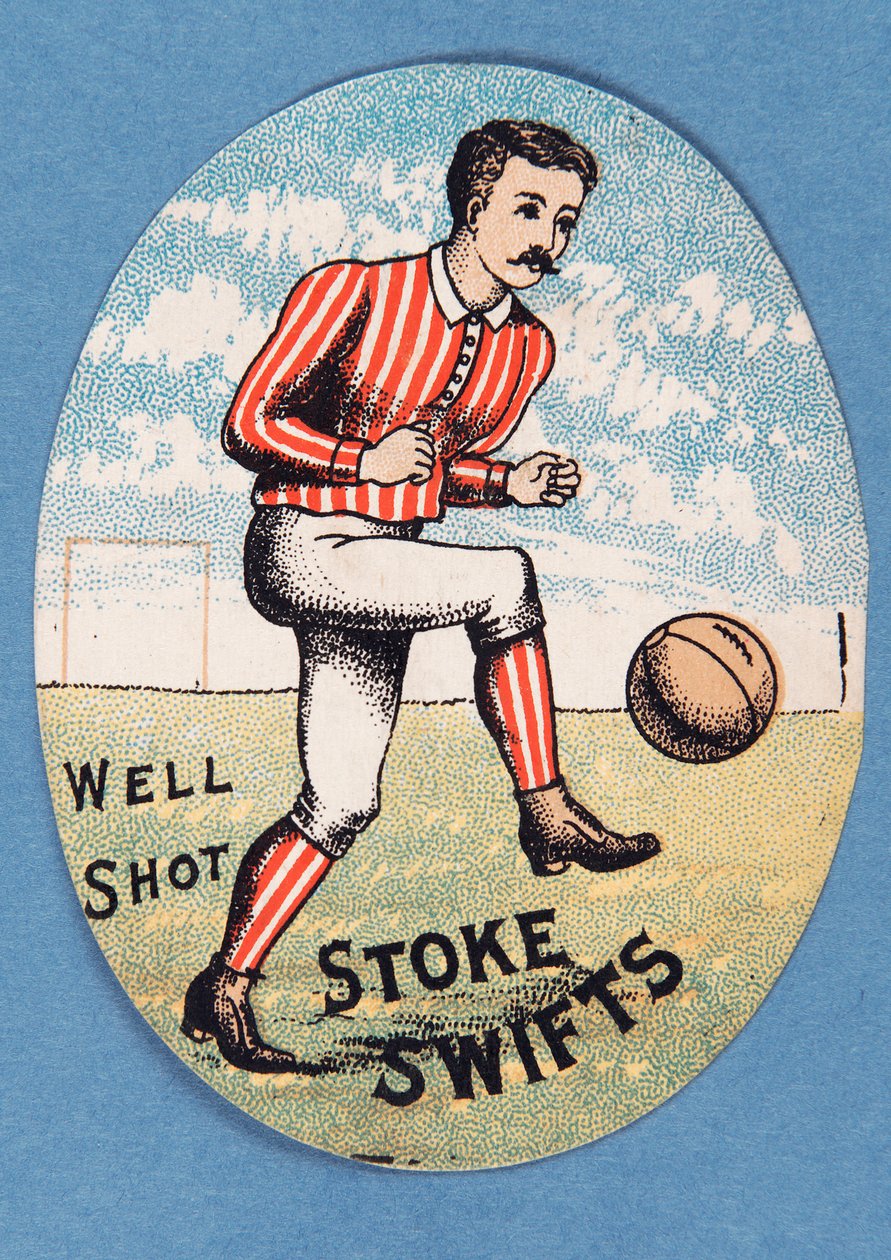 Goed Geschoten Stoke Swifts door English School