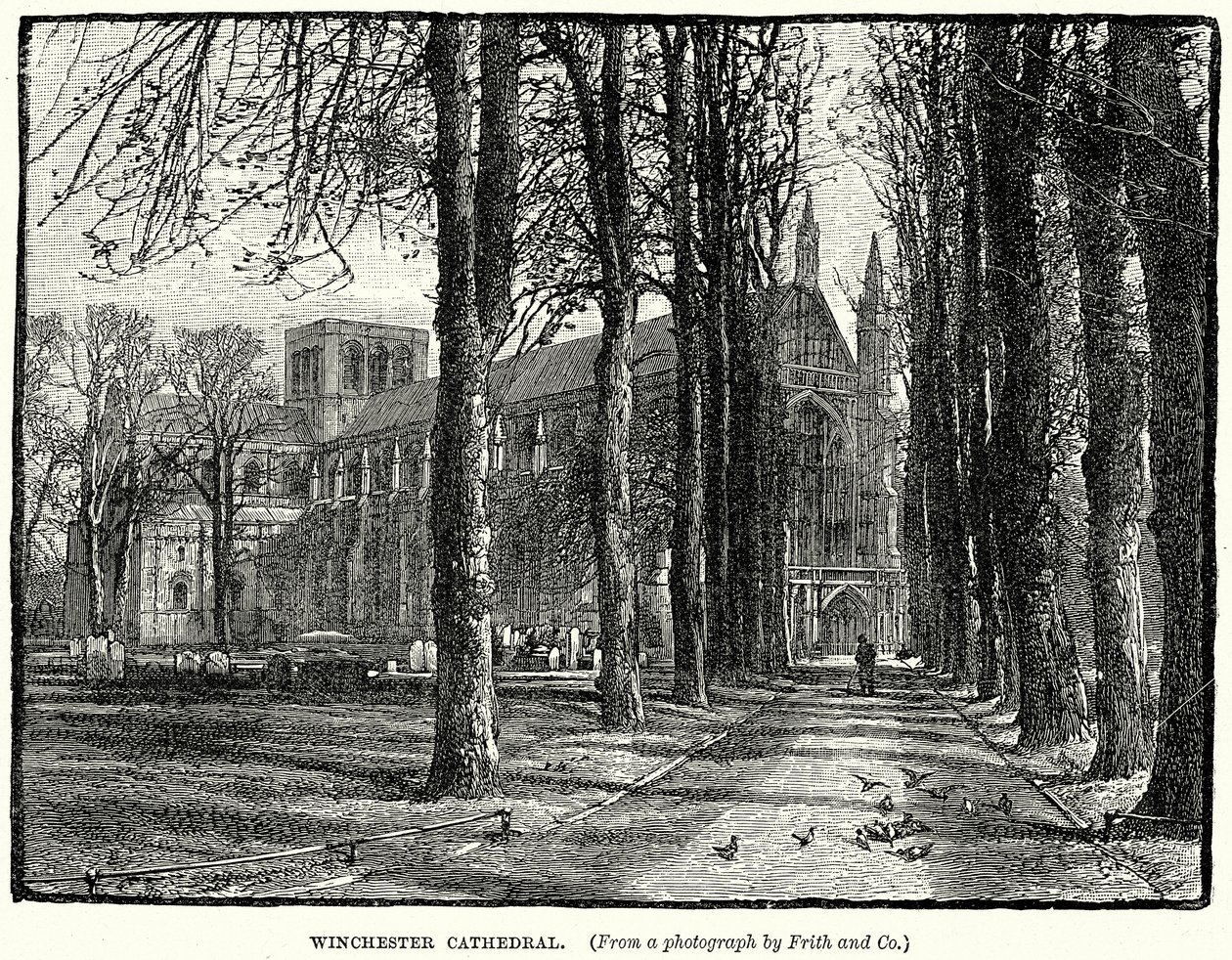 Kathedraal van Winchester (gravure) door English School