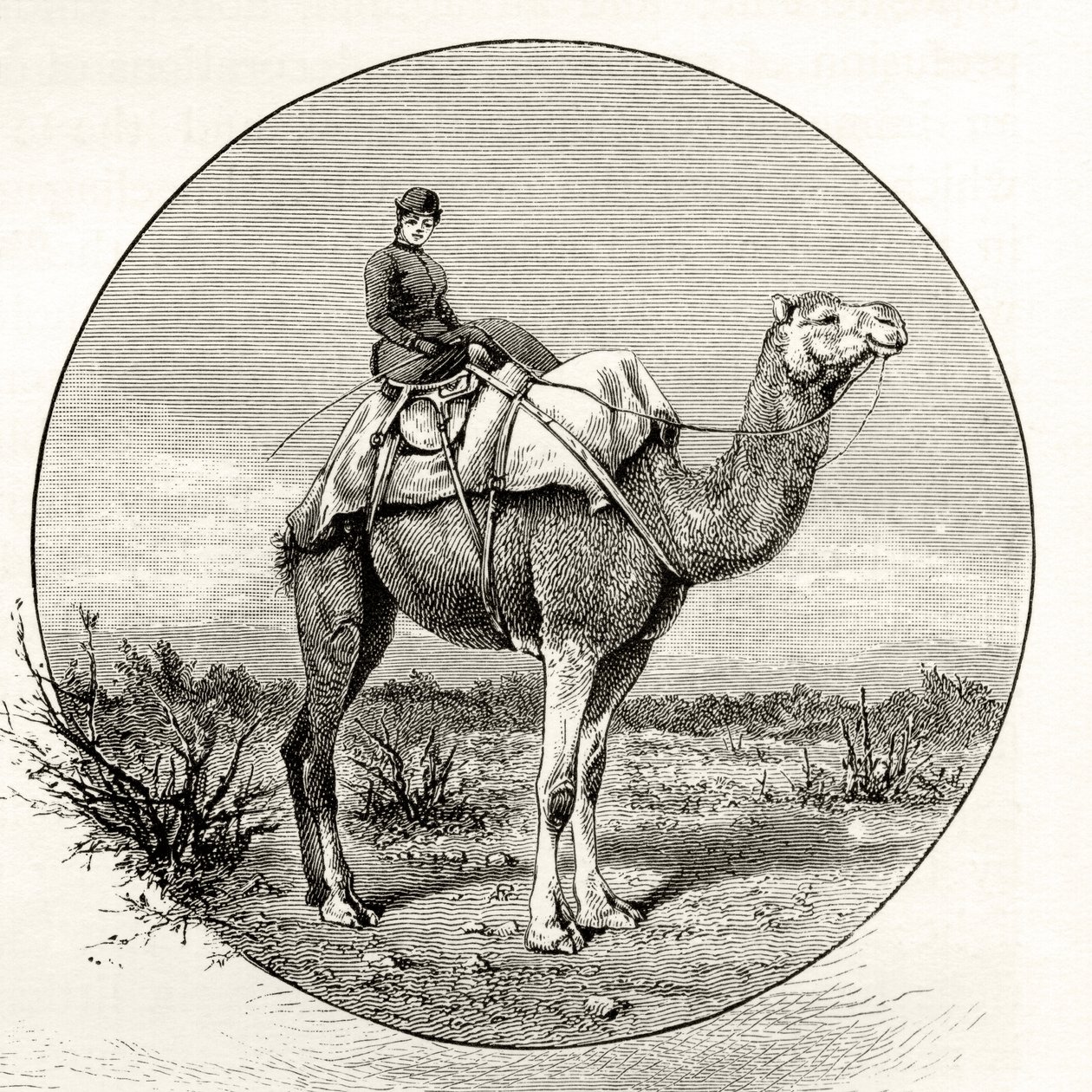 Vrouw op een kameel in Australië, ca. 1880, uit 