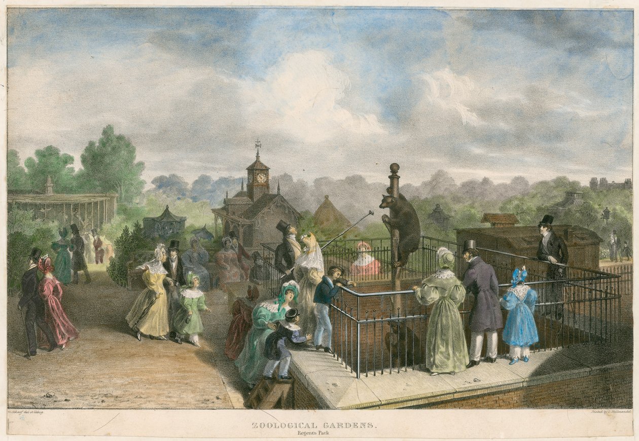 Zoological Gardens, Regent