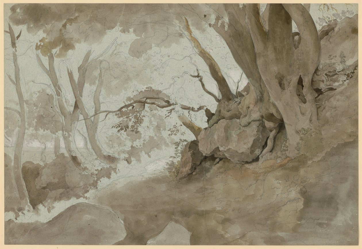 Studie van bomen en rotsen door Ernst Fries