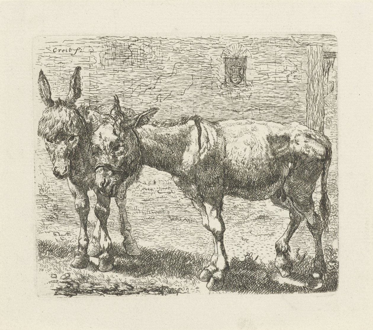 Twee ezels door Ernst Ludwig Creite