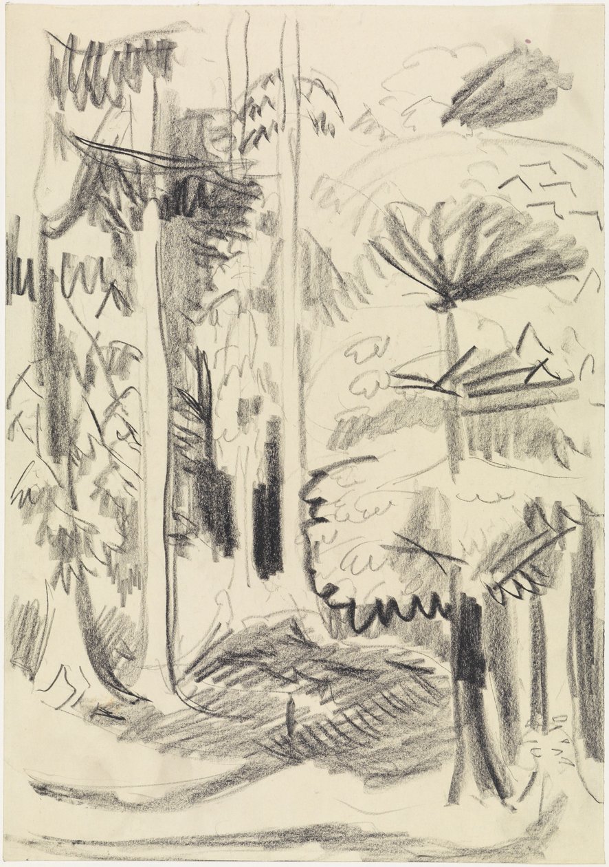 Gemengd bos door Ernst Ludwig Kirchner