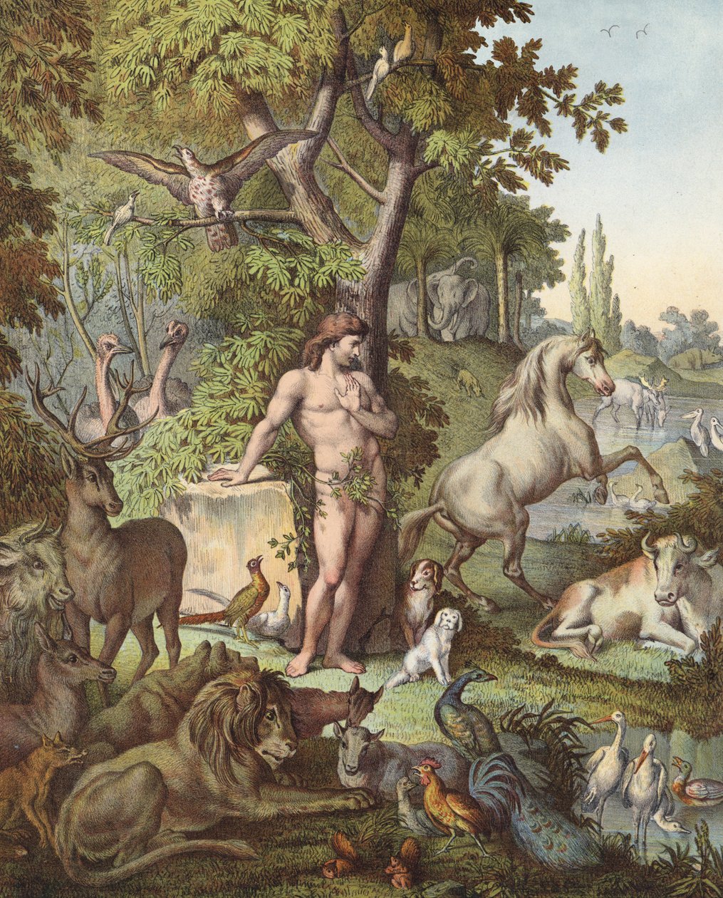 Adam in de Hof van Eden (kleurenlitho) door Etienne Antoine Eugene Ronjat
