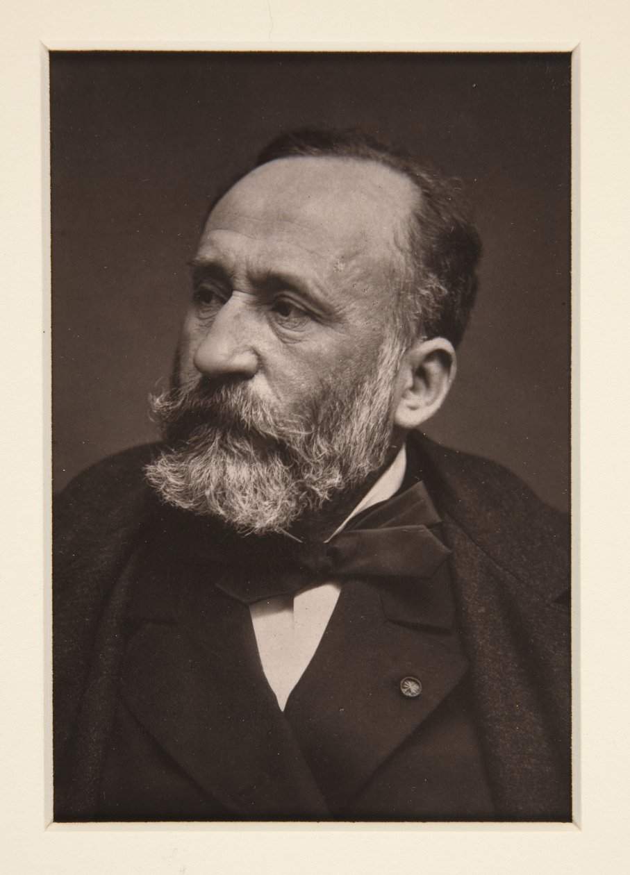 Portret van Pierre Puvis de Chavannes (1824-1898) door Etienne Carjat