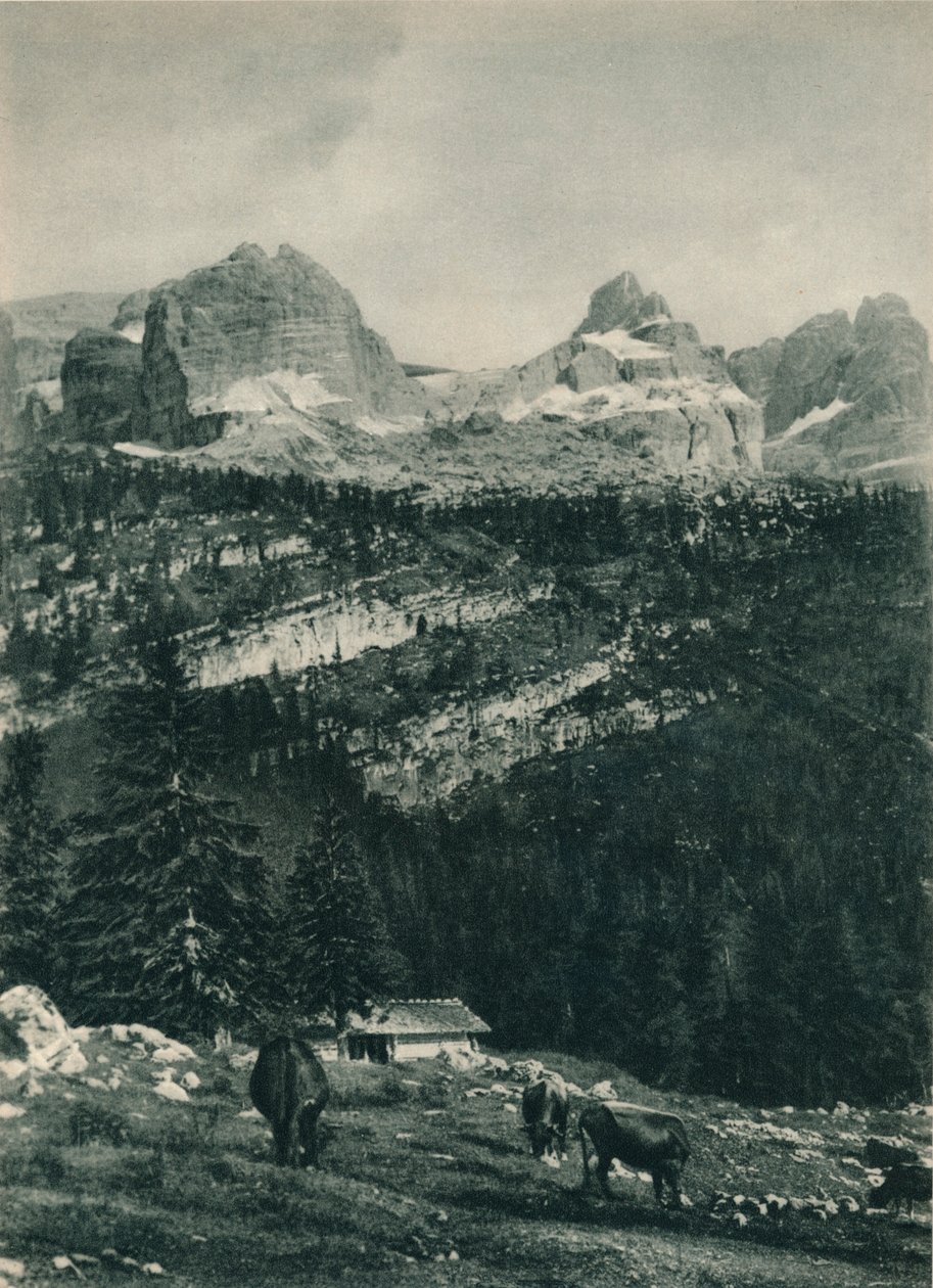 Uitzicht op de Brenta-groep met alpenweide, Madonna di Campiglio, Dolomieten, Italië door Eugen Poppel