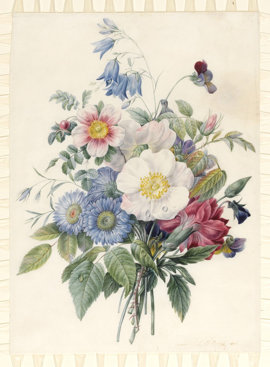 Blauwe Asters, Rosa Spinosissima Hybride, Klokjesbloem, Viooltjes, Anjer en een Wilde Roos, 1820 door Eugene A. L. d Orleans