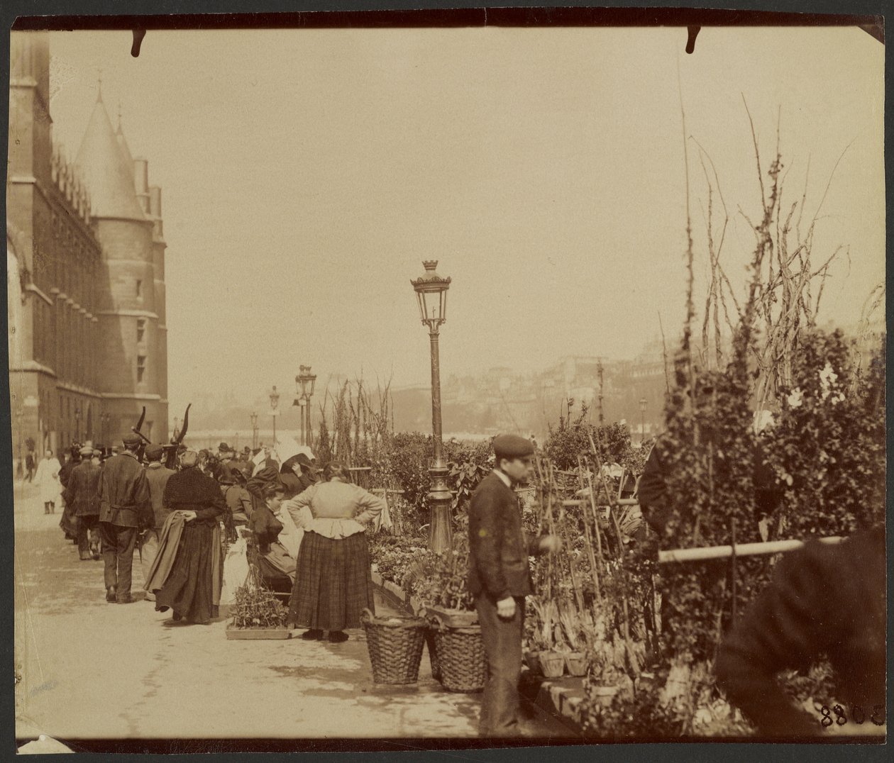 [De bloemenmarkt] door Eugène Atget