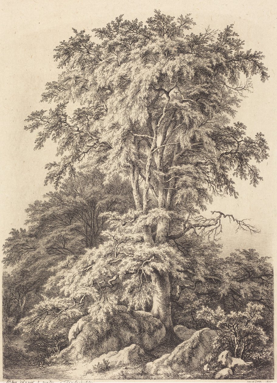 Beukenbosje door Eugene Bléry