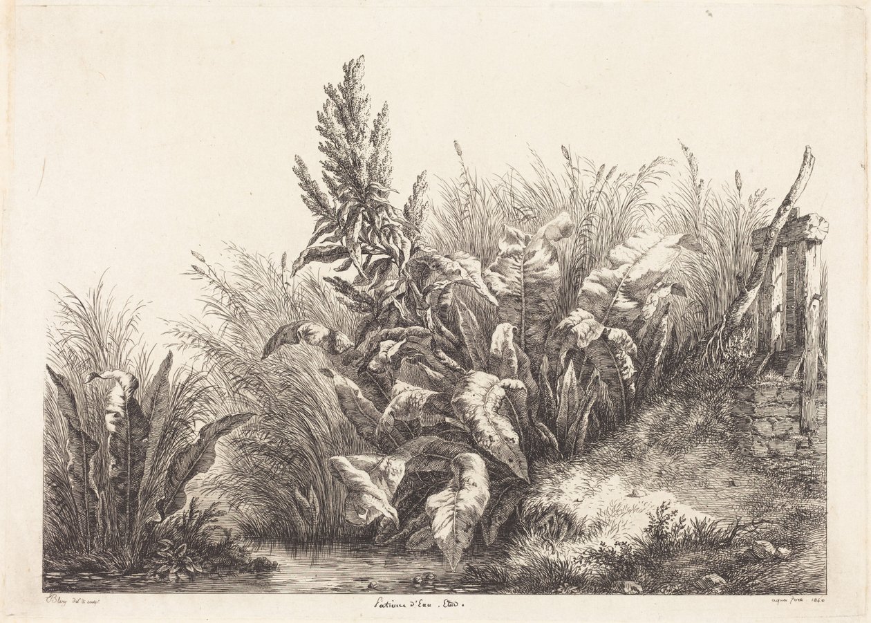 Waterzuring, studie door Eugene Bléry