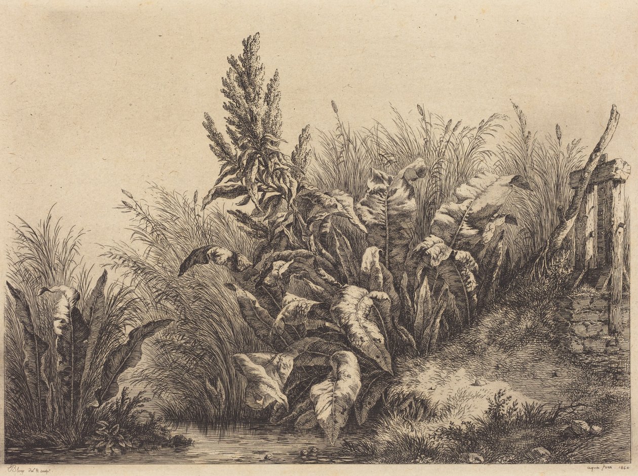 Waterzuring door Eugene Bléry