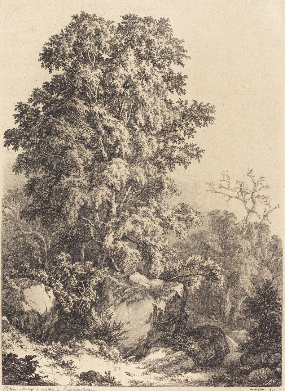 Beukenbos, 1840 door Eugene Bléry