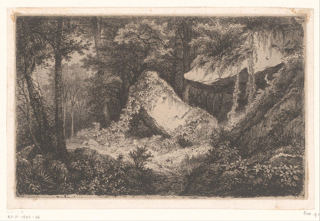 Begroeide rotsen in een bos door Eugene Bléry