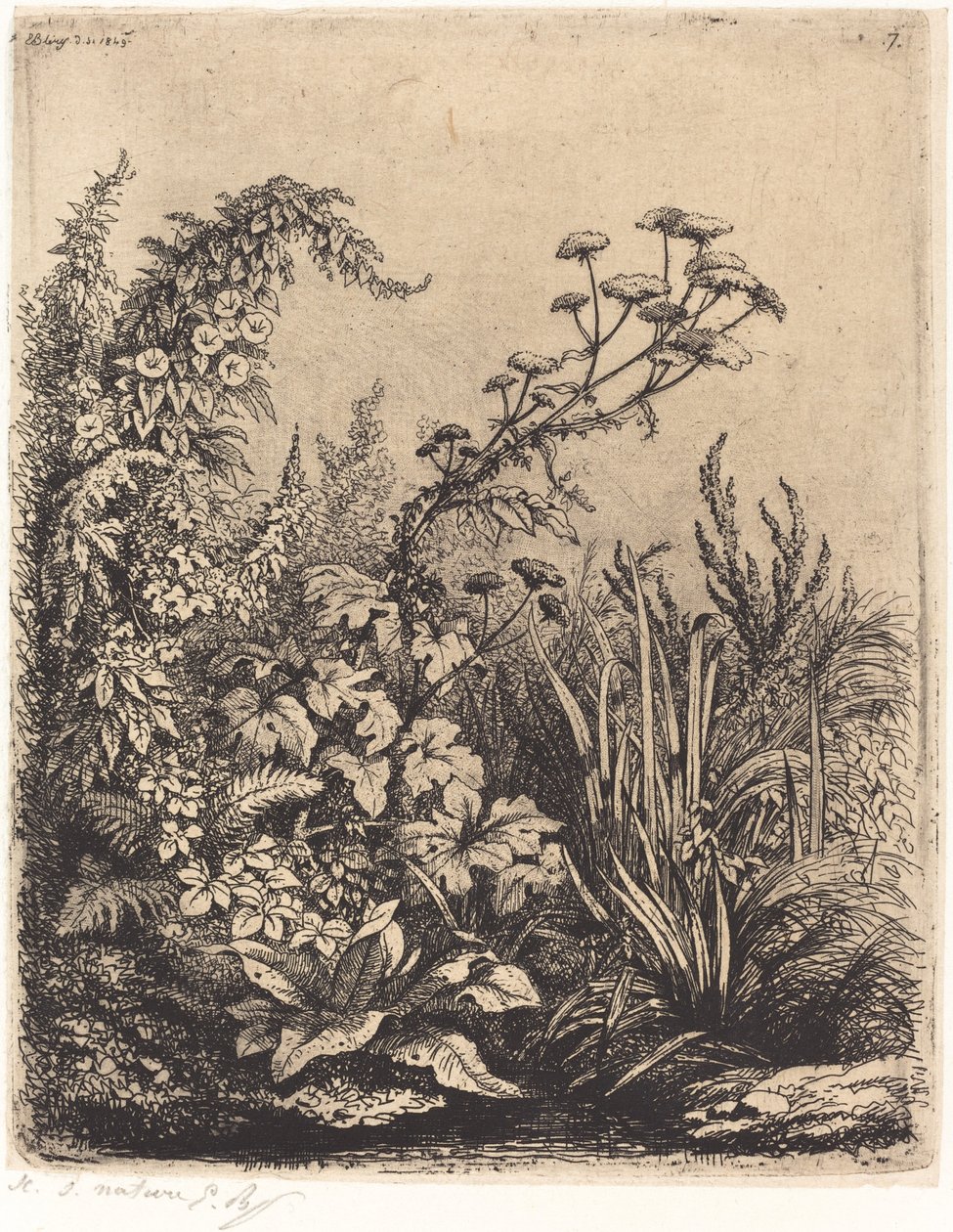 De kleine waterkers met winde door Eugene Bléry