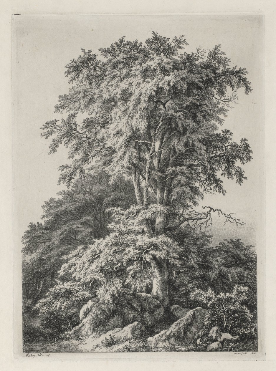 Studies getekend en gegraveerd naar de natuur: Het strand, Fontainebleau..., 1840 door Eugene Bléry