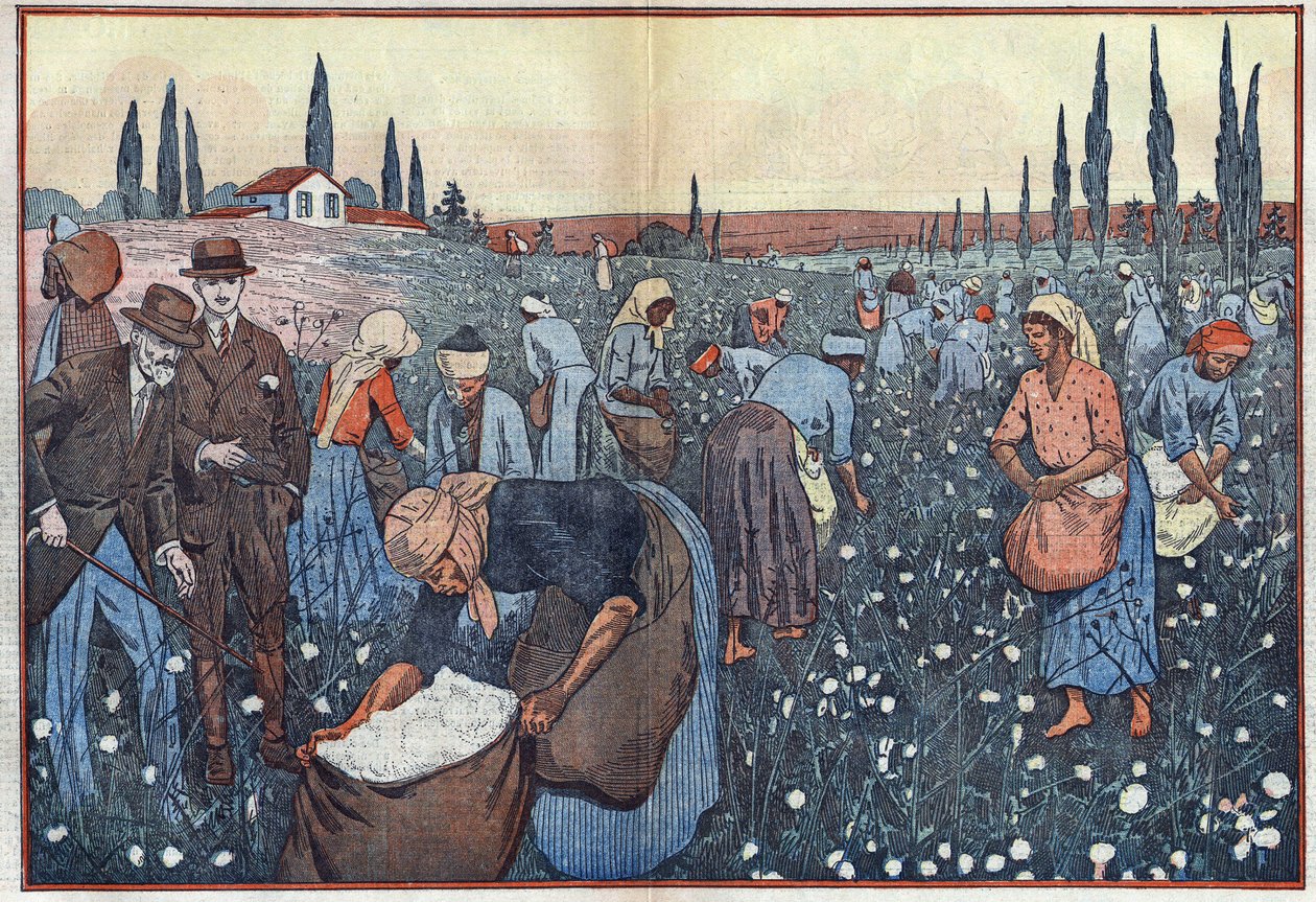 De katoenoogst, nabij Orleanville, in de Chelif-vallei, Algerije. Illustratie van Damblans. In 
