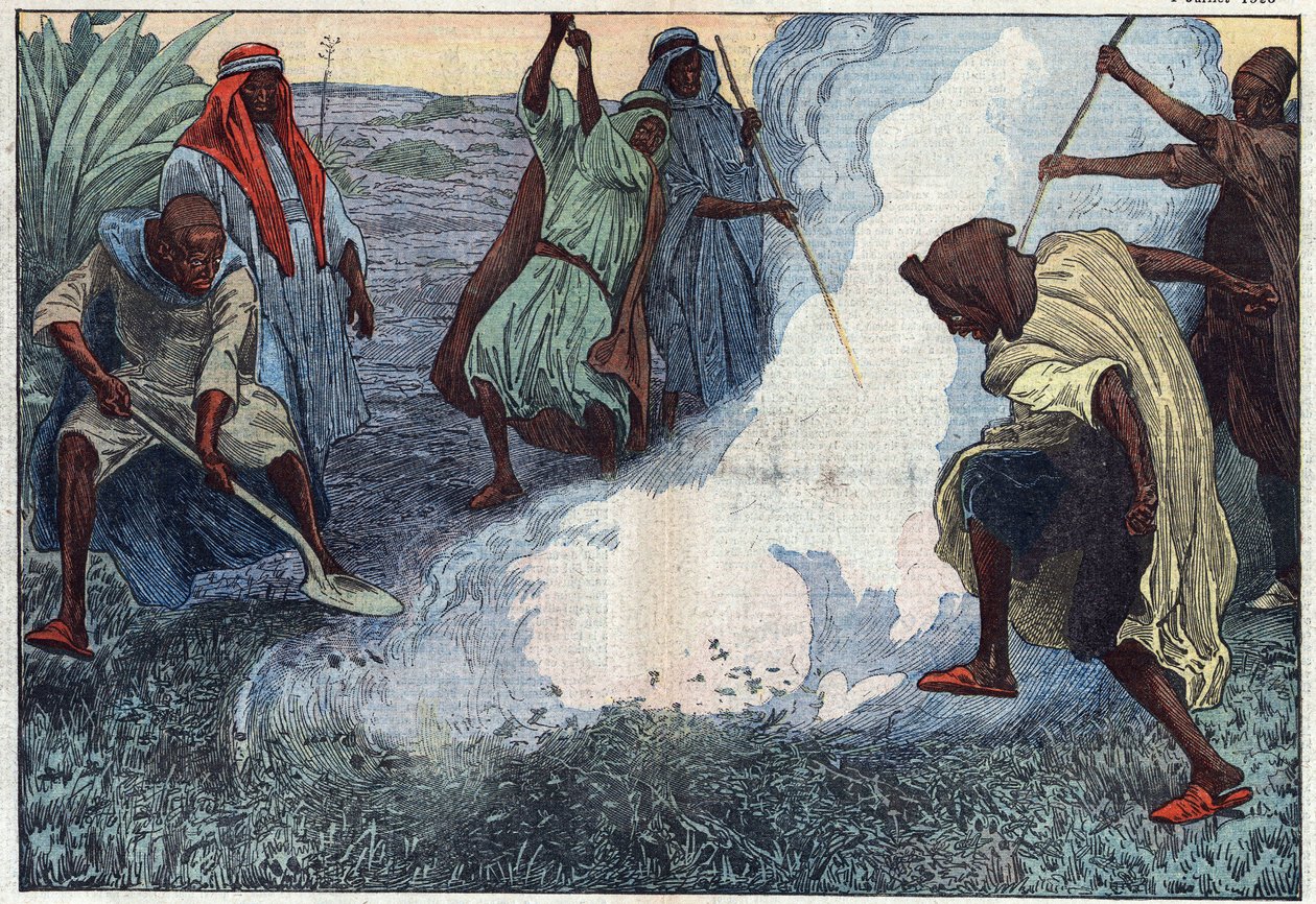 De vernietiging van sprinkhanen in Algerije: de Arabieren verbranden ze onder kreten en vervloekingen. Illustratie van Damblans. In 