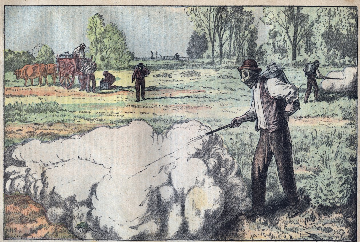 De vernietiging van de muizen (Apodemus) door verstikkend gas in de dageraad - gravure door Damblans - le-pelerin van 1923 door Eugene Damblans