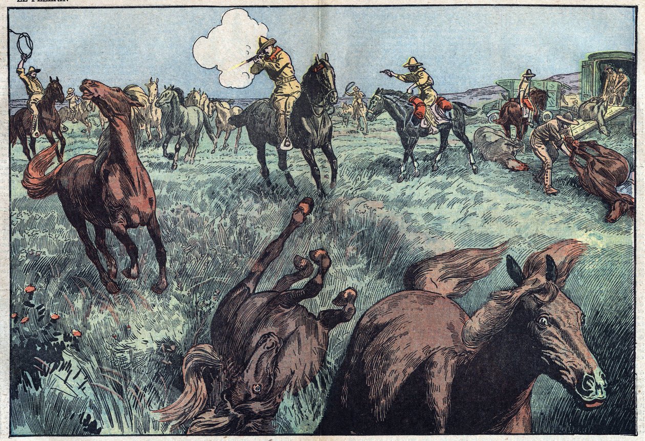 Wilde paarden worden afgeslacht in de Verenigde Staten. Illustratie van Damblans. In 