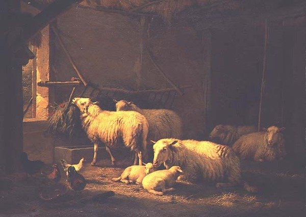 Schapen en gevogelte in een schuur door Eugene Joseph Verboeckhoven