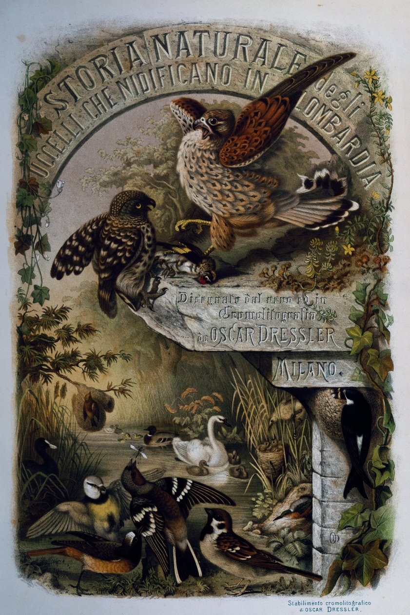 Titelpagina van Natuurlijke Historie van Vogels die nestelen in Lombardije, door Eugenio Bettoni, gravure door Oscar Dressler, Italië door Eugenio Bettoni, Oscar Dressler