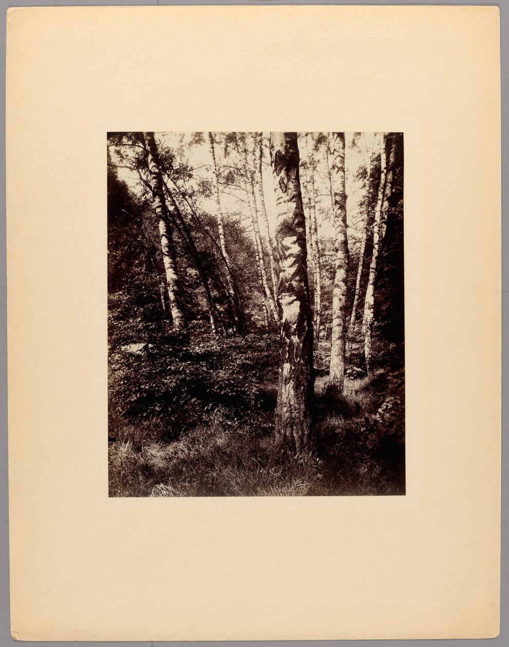 Saint-Cloud Park door Eugène Atget